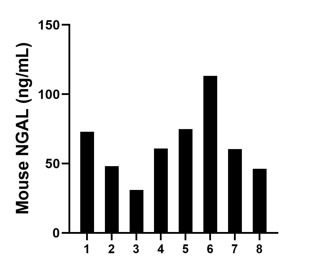 Sample test of MP00302-4